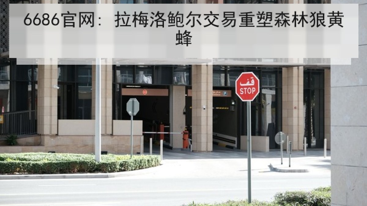 6686官网: 拉梅洛鲍尔交易重塑森林狼黄蜂