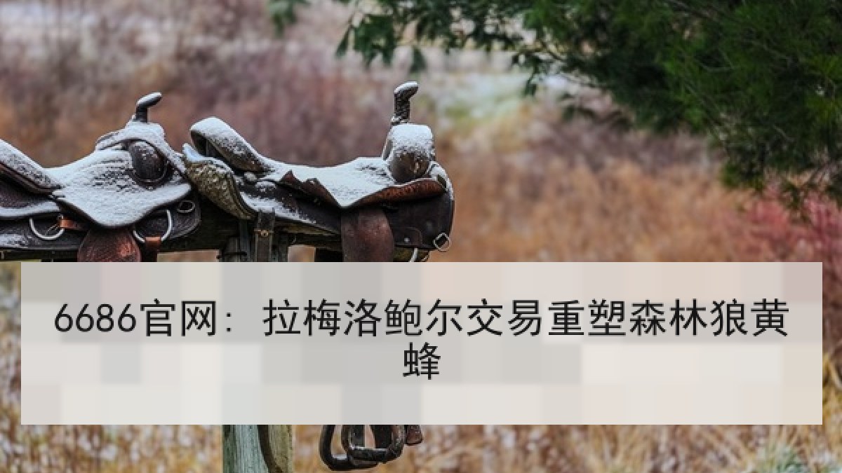 6686官网: 拉梅洛鲍尔交易重塑森林狼黄蜂