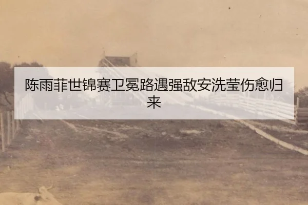 chen-yu-fei-shi-jin-sai-wei-mian-lu-yu-qiang-di-an-xi-ying-shang-yu-gui-lai-3-910.jpg