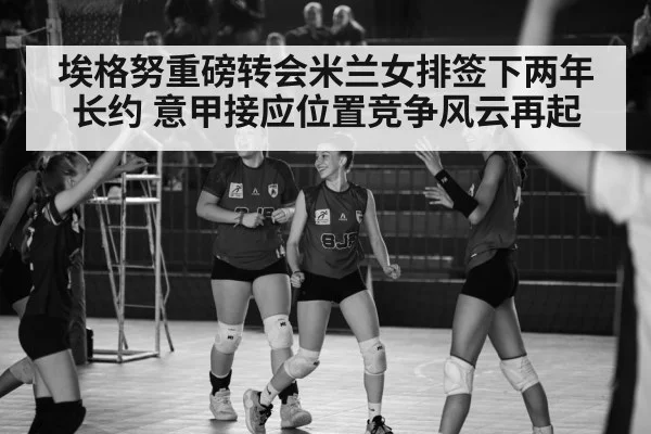 Italian volleyball league match